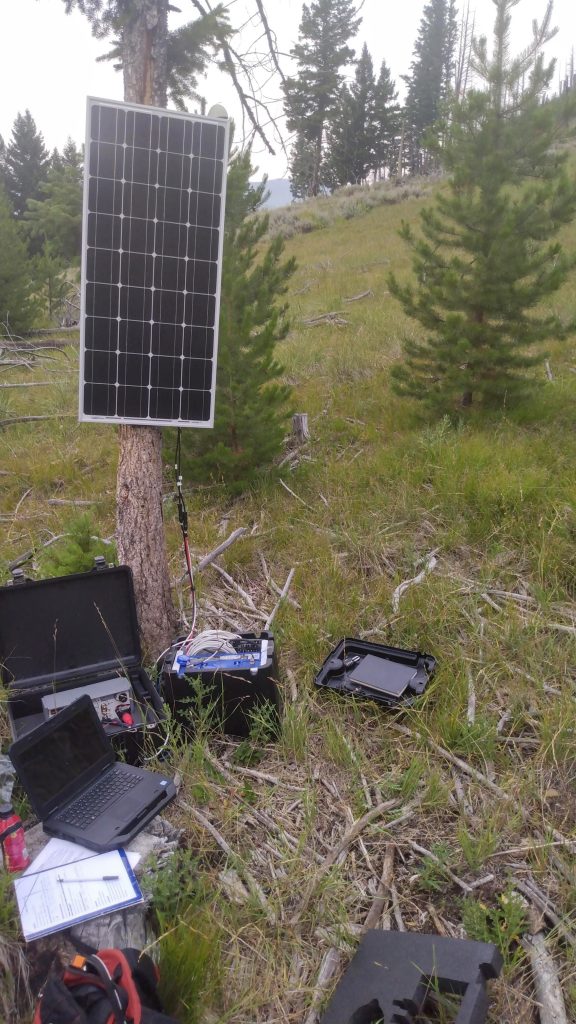 USIP intern Courtenay Duzet's data collection set-up: solar panel is connected to a tree, the seismometer is in the ground next to the tree, and there is an open laptop on the ground.